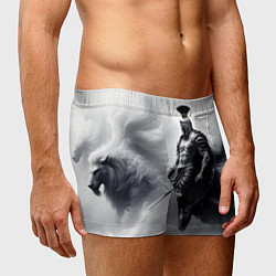 Трусы-боксеры мужские Спартанский воин среди львов, цвет: 3D-принт — фото 2