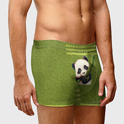 Трусы-боксеры мужские Панда и бамбук, цвет: 3D-принт — фото 2