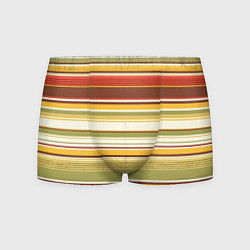 Трусы-боксеры мужские Горизонтальные полосы, цвет: 3D-принт