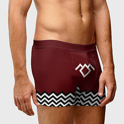 Трусы-боксеры мужские Твин Пикс - лого, цвет: 3D-принт — фото 2