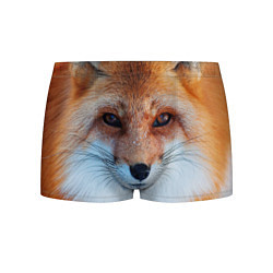 Трусы-боксеры мужские Взгляд лисы, цвет: 3D-принт