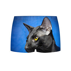 Трусы-боксеры мужские Черный кот, цвет: 3D-принт