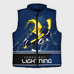 Мужской жилет Bay Lightning, цвет: 3D-черный