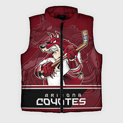 Мужской жилет Arizona Coyotes, цвет: 3D-красный