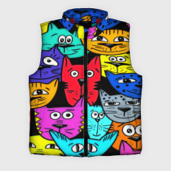 Мужской жилет Кошачьи мордочки