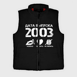 Мужской жилет Дата выпуска 2003