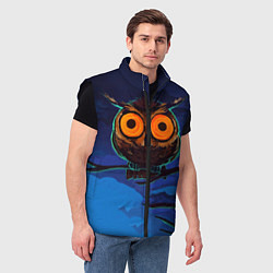 Мужской жилет Глаза филина, цвет: 3D-черный — фото 2