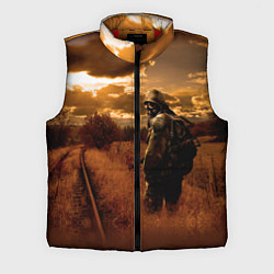 Мужской жилет S.T.A.L.K.E.R: Older Soldier, цвет: 3D-красный