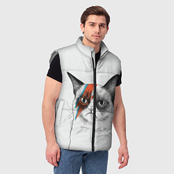 Мужской жилет David Bowie: Grumpy cat, цвет: 3D-светло-серый — фото 2