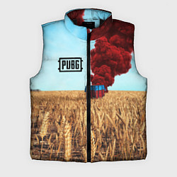 Мужской жилет PUBG Box, цвет: 3D-черный