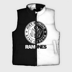 Мужской жилет Ramones B&W, цвет: 3D-светло-серый