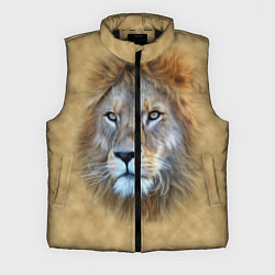 Мужской жилет Песчаный лев, цвет: 3D-черный