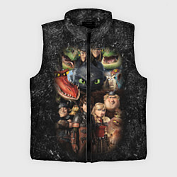 Мужской жилет How to Train Your Dragon