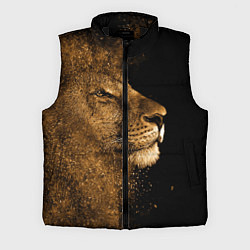 Мужской жилет Песчаный лев