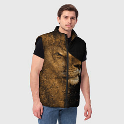Мужской жилет Песчаный лев, цвет: 3D-черный — фото 2