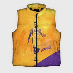 Мужской жилет LeBron James: NBA Star, цвет: 3D-черный