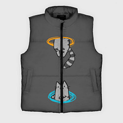 Мужской жилет Кот в Портале