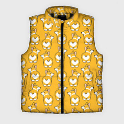 Мужской жилет Маленькие Корги