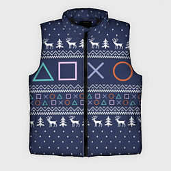 Мужской жилет Winter PS