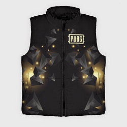 Мужской жилет PUBG: Night Fireflies, цвет: 3D-черный