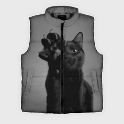 Мужской жилет Черный котик