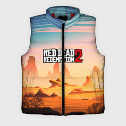 Мужской жилет RDR 2: Wild West, цвет: 3D-красный