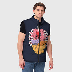 Мужской жилет Внутри меня котики, цвет: 3D-черный — фото 2
