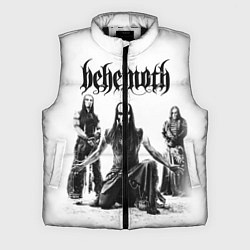 Мужской жилет Behemoth, цвет: 3D-черный