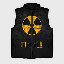 Мужской жилет STALKER: Radioactive, цвет: 3D-черный