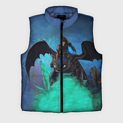 Мужской жилет Как приручить дракона