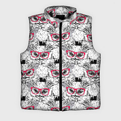 Мужской жилет Совы в очках