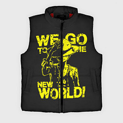 Мужской жилет One Piece We Go World