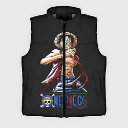 Мужской жилет One Piece