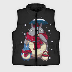 Мужской жилет My Neighbor Totoro