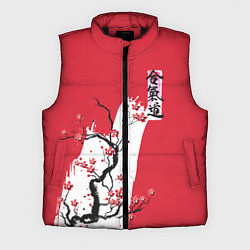 Мужской жилет Сакура Айкидо, цвет: 3D-черный