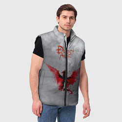 Мужской жилет Dragon Age, цвет: 3D-черный — фото 2