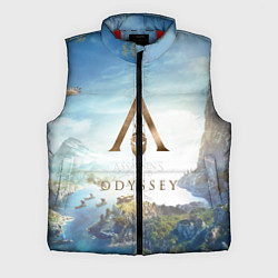 Мужской жилет Oddysey