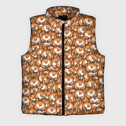 Мужской жилет Попки Корги