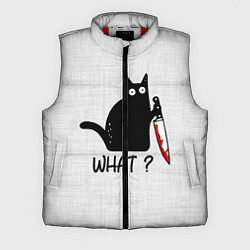 Мужской жилет What cat, цвет: 3D-красный