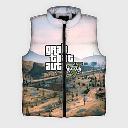 Мужской жилет Grand Theft Auto 5, цвет: 3D-черный