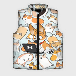 Мужской жилет Корги
