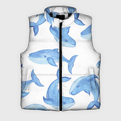 Мужской жилет Косяк китов