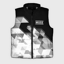 Мужской жилет Muse, цвет: 3D-светло-серый