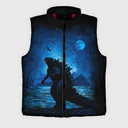 Мужской жилет GODZILLA, цвет: 3D-красный
