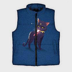 Мужской жилет КИСА С ТЕЛЕФОНОМ, цвет: 3D-черный