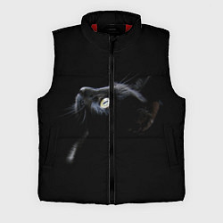 Мужской жилет Кот