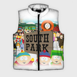 Мужской жилет ЮЖНЫЙ ПАРК, цвет: 3D-черный