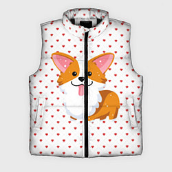 Мужской жилет Корги