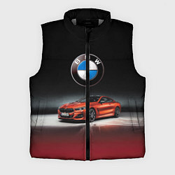 Мужской жилет BMW