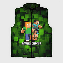 Мужской жилет Minecraft Майнкрафт, цвет: 3D-черный